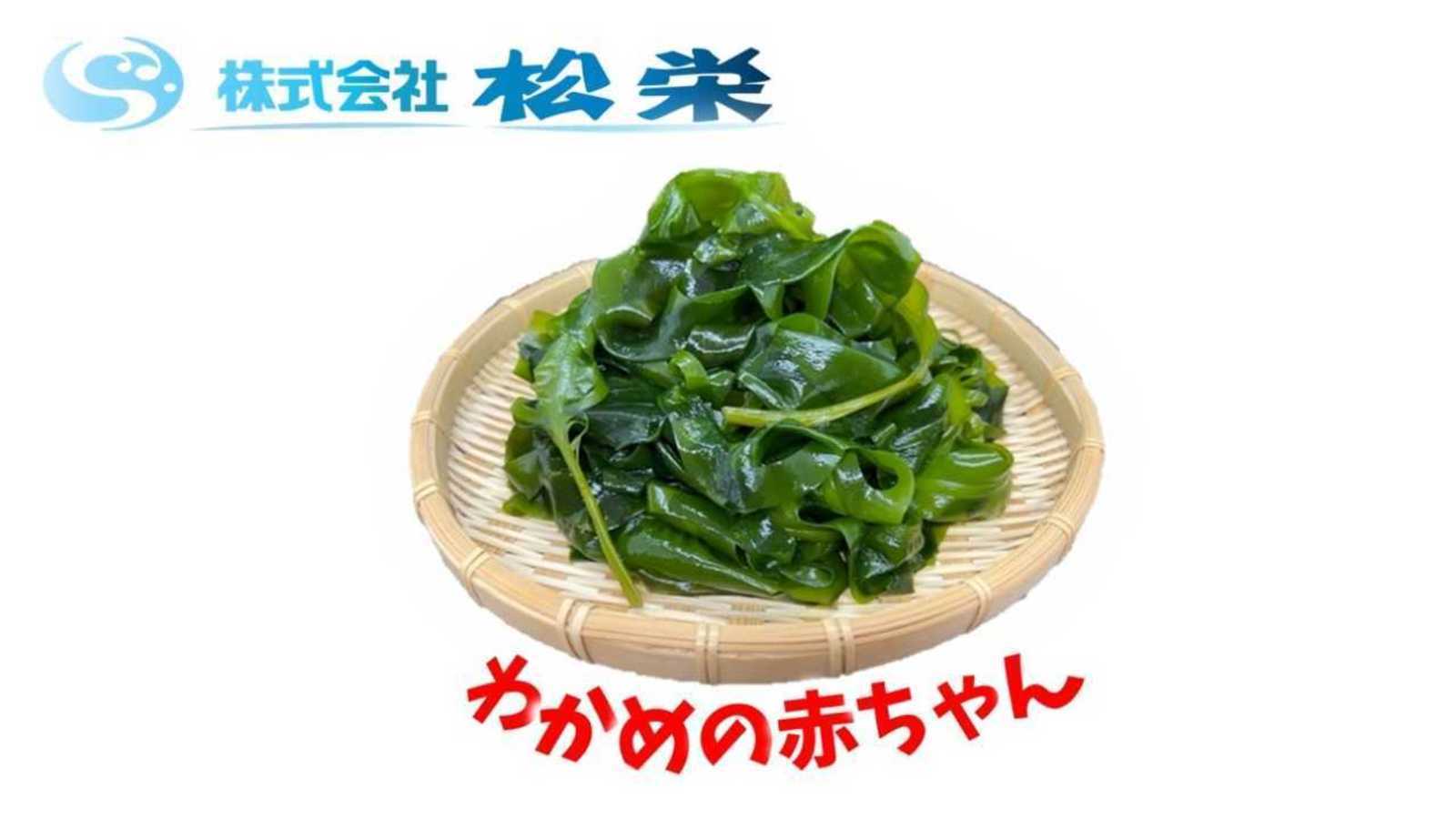 わかめページ ヤセ菌が増えて、やせ体質に！ わかめを食べるレシピ | ヤセ菌で食べ