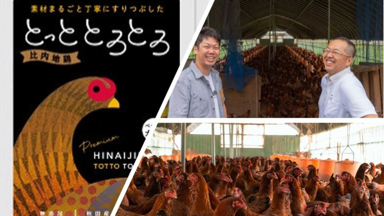 ブランディング】比内地鶏を使ったペットフード「とっと とろとろ」を 