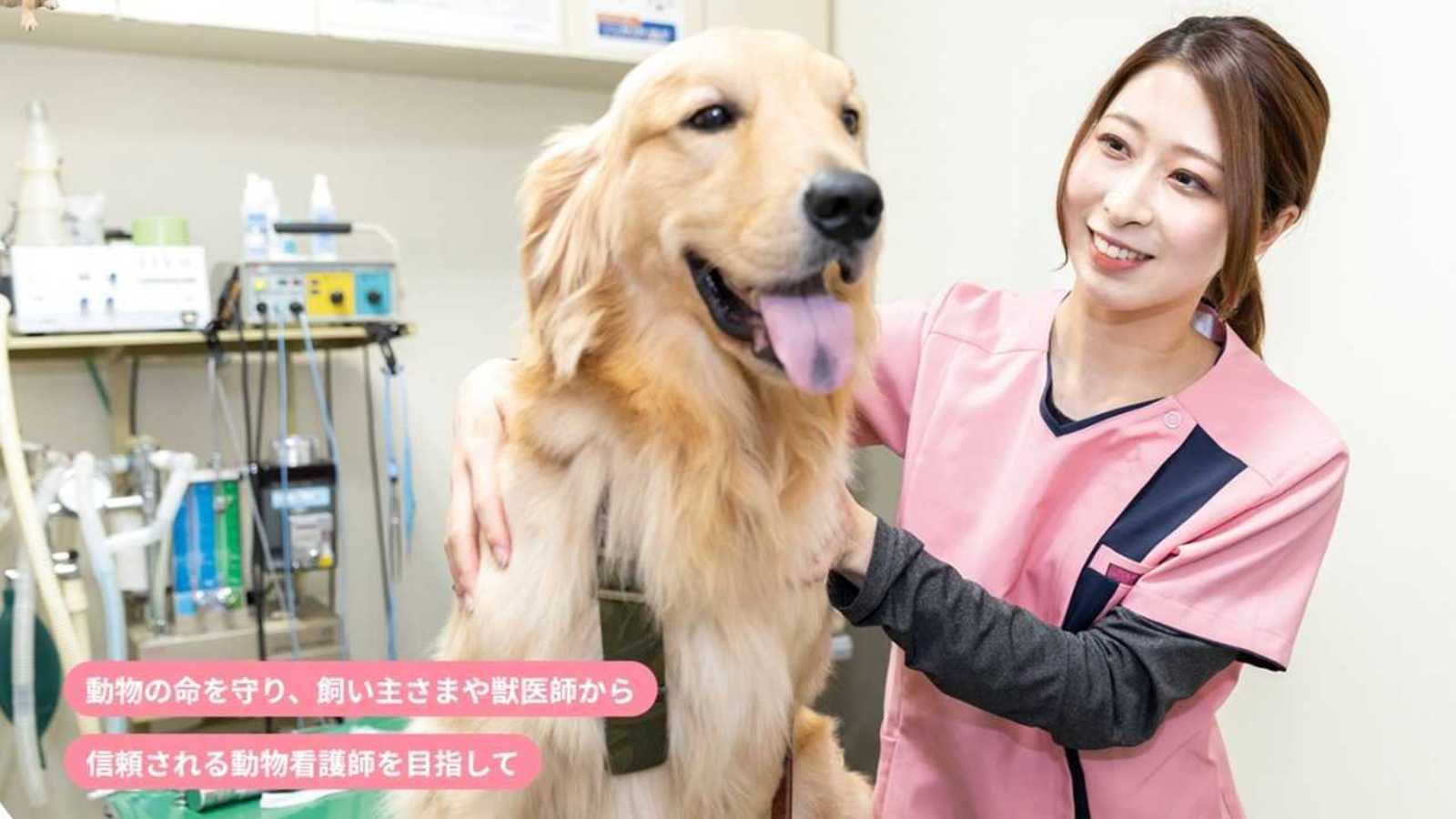 博多市内】獣医師免許をお持ちの方必見！専門学校の非常勤講師を大募集