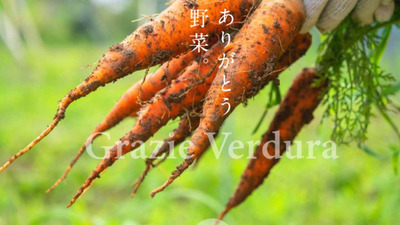 食品製造企業で納得感ある評価制度を一緒に設計しませんか？