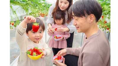 新規農園の集客戦略を一緒に描く副業プロジェクト	