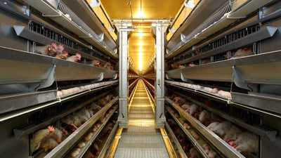 【DX推進の頭脳として参画】自社IoTシステムの改善戦略を共につくる方募集！